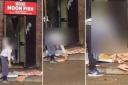 A 'disgusting' video captured a staff member at Moon Fish, in East Street, Barking, breaking up frozen fish by hurling it at the kerb