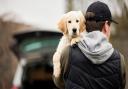 Havering residents say they are 'petrified' by reports of a spike in dog thefts - but the Met Police says the rumours are not true.