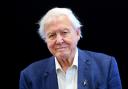 Sir David Attenborough will present a new National Geographic film about our oceans which will be shown in cinemas and on Disney+