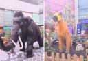 Prehistoric animal models have been spotted in The Liberty shopping centre