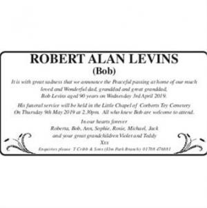 Robert Alan levins