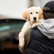 Havering residents say they are 'petrified' by reports of a spike in dog thefts - but the Met Police says the rumours are not true.