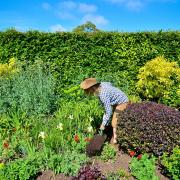 The most expensive London borough was Westminster, where the average garden costs £31,948 per square metre