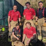 Roger the Cairn Terrier was rescued by firefighters near St Johns Road