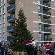 A newly planted tree was unveiled at the Christmas celebration in Beam Park