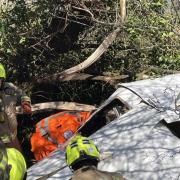 Firefighters attempt to free the man trapped in the aircraft