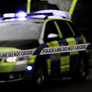 The arrests come after an investigation by Essex Police