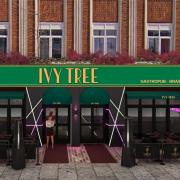 How the front of Ivy Tree could look when it opens