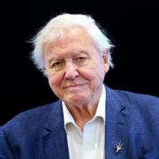 Sir David Attenborough will present a new National Geographic film about our oceans which will be shown in cinemas and on Disney+