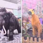 Prehistoric animal models have been spotted in The Liberty shopping centre