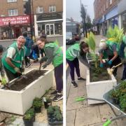 Havering councillors and volunteers tidied up the high street planters last Friday