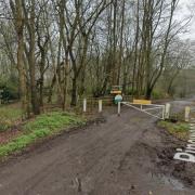 Angel Bloxham was discovered in Havering Country Park