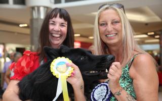 Winner of 'best in show' four-year-old German Shepherd Loki with owner Tracey Tallintire (left) and  judge Emma