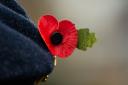 A Remembrance poppy pin