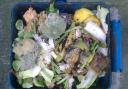 Havering Council is planning to bring in a weekly food waste collection service next year