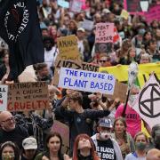 Extinction Rebellion protesting in London over the August bank holiday weekend