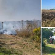 Firefighters tackled the fire for almost an hour