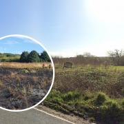 A fire in Rainham yesterday destroyed 3,000 square metres of grassland