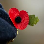 A Remembrance poppy pin