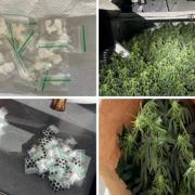 They discovered a substantial cannabis farm in the loft space, along with drug production equipment, large sums of cash, and multiple bags of cocaine