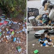 Pictures of rubbish sent by Dirty Dagenham members