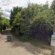 The shop and cafe will shut for good at RSPB Rainham Marshes, and its education programme scrapped