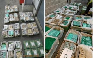 The cocaine was hidden in 41 pallets of bananas