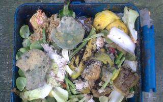 Havering Council is planning to bring in a weekly food waste collection service next year